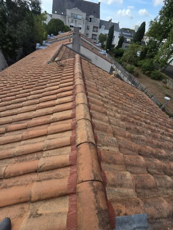 Nettoyage et traitement de toiture dans le Calvados
